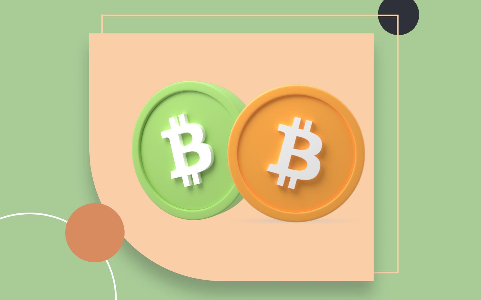 Bitcoin Cash or Bitcoin
